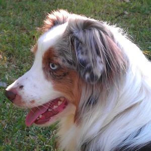 Meet your Posher, Michele